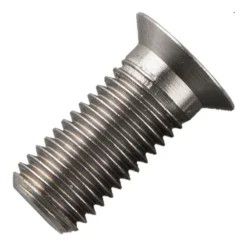 VIS DE FIXATION POUR DETECTEUR DELKIM RVS D-LOCK LONG BOLT